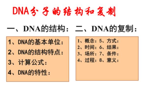 DNA分子中有哪几种碱基