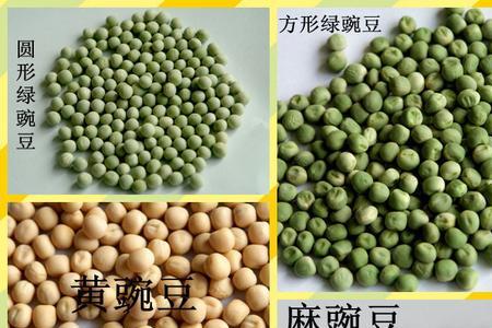 豌豆里糖含量多吗