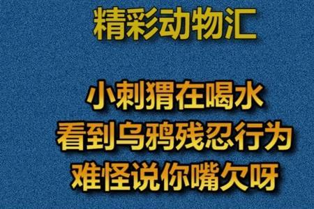 嘴欠是什麼意思呀