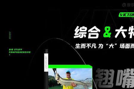 vix冰蓝粉63和72哪个适合