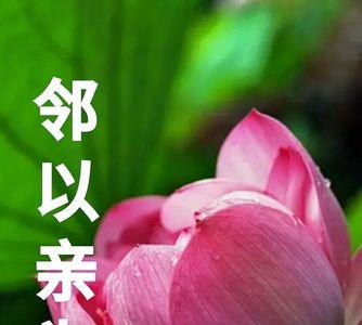 茫茫世间何为贵解释