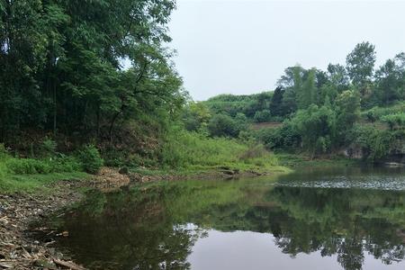 个人承包水库需要什么条件