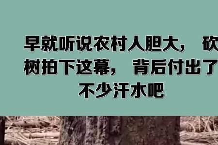 农村为什么大规模砍树