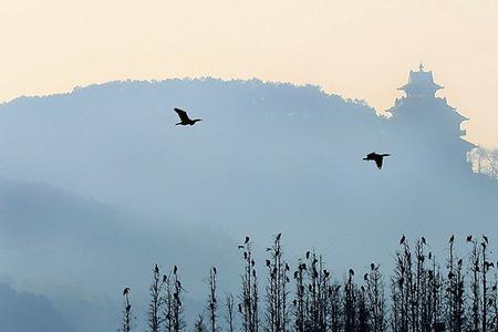 山色空蒙的空蒙什么意思