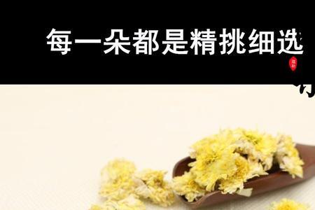 什么叫怀灵菊