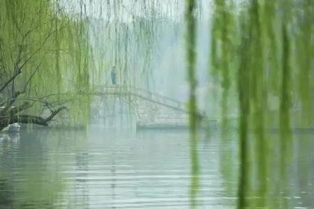 江南淡淡雨潇潇出自哪