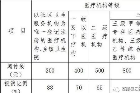 自贡2022生育津贴报销标准