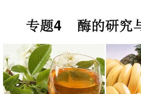 生物酶在农业上的应用