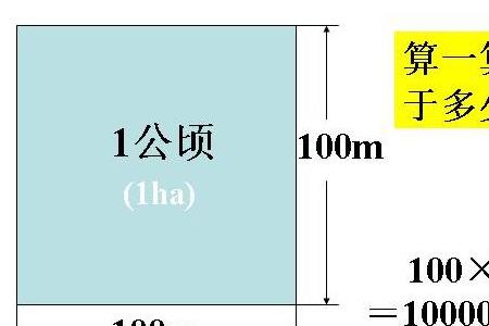 亩，公顷和平方米是怎么换算的