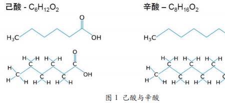 硬脂肪酸的分子式