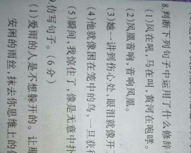 三个修辞手法的句子10字