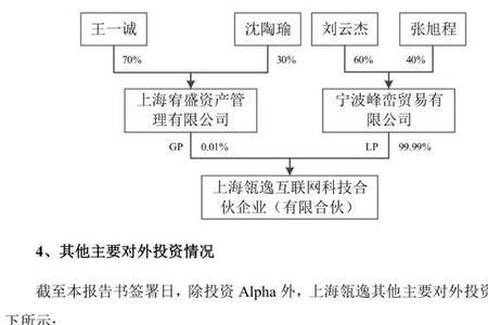 什么是最大自然人股东