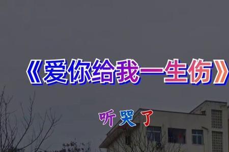 歌曲爱你给我一身伤原唱