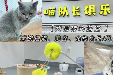 猫条开封后可以放多久