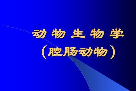 动物的肠子有什么样的特点呢