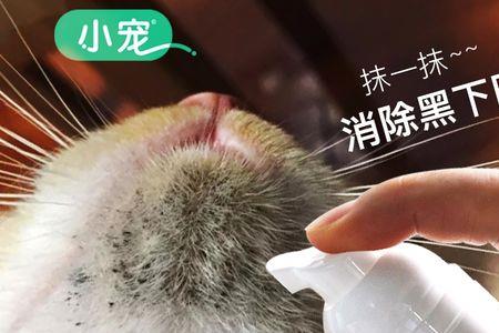 兔子用的沐浴露可以给猫用吗