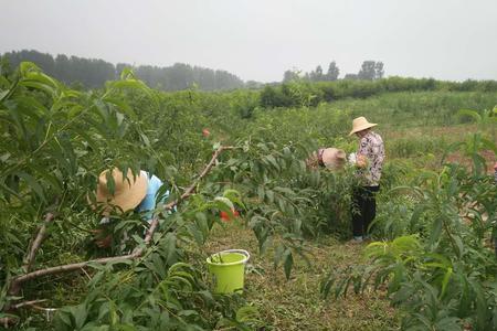 入冬前应不应该犁地