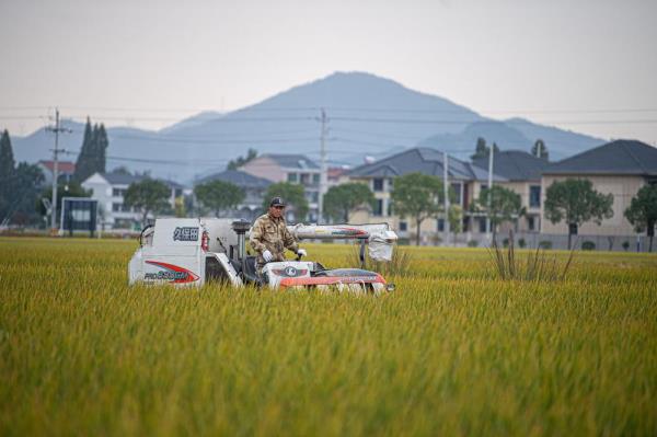 桌面弯举35公斤是什么水平