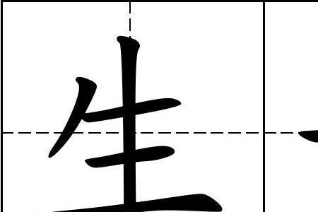 田字格站位标准