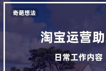 请问下运营助理是干嘛的