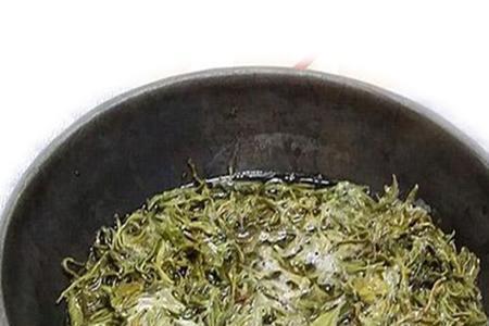 恭城油茶用的茶叶品种