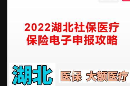 2022年湖北医保怎么线上缴费