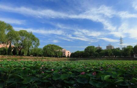 鞍山三所大学