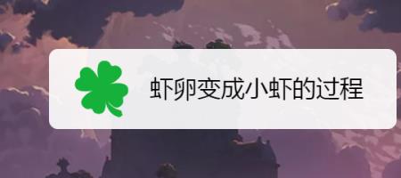 罗氏虾的卵弄下来怎么孵化