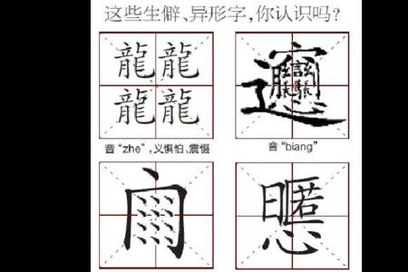 5 力、刀字底的字有哪些