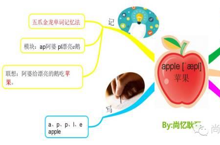 organization这个单词怎么记忆