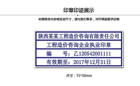 执业印章是什么意思