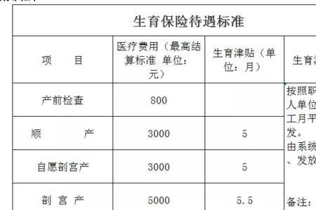 陕西生育津贴个人申请流程