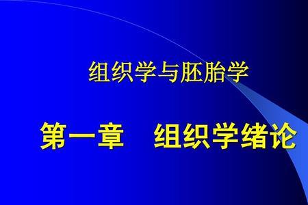 组织学与胚胎学怎么学高效