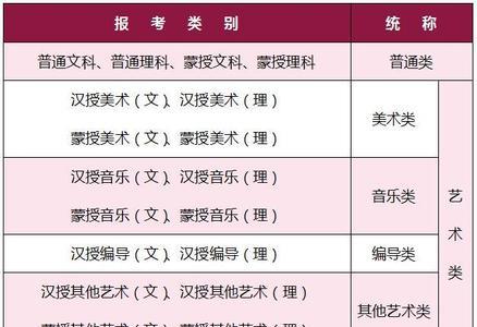 高考报名考生特长50字范文