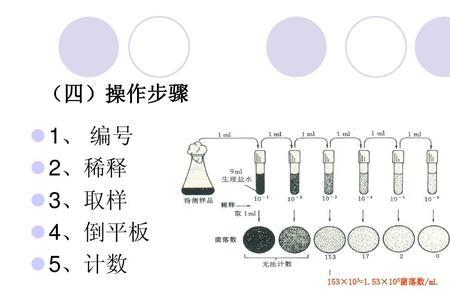 计数和测量的区别