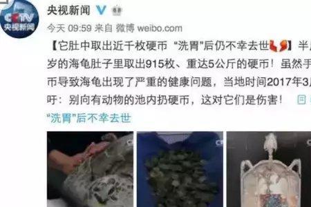 为什么往骨灰盒里扔硬币