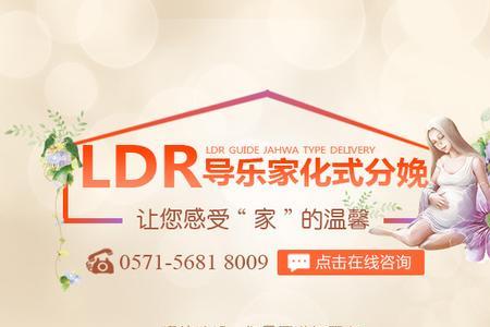 ldr什么意思