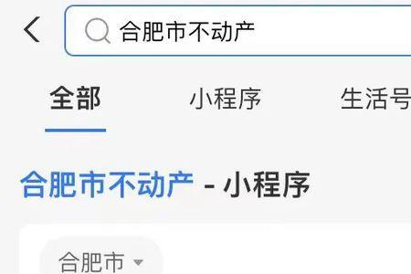 支付宝上查询不出来房产信息