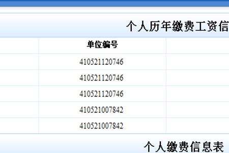 云南怎么查养老保险交了几年