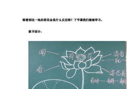 荷花作者采用了什么结构方式