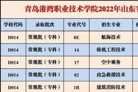 2023年山东单招春考大类怎么填