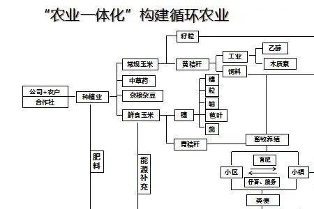 三元双向农业循环模式内容