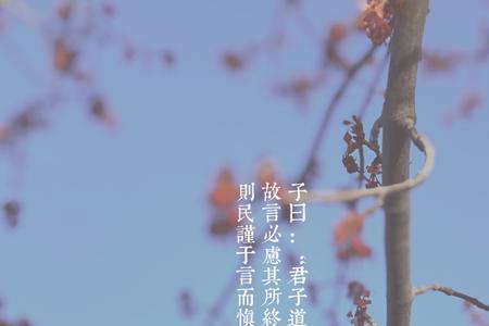 严谨慎行是什么意思