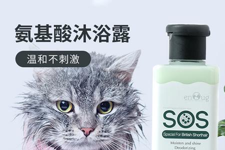 猫的沐浴露有毒吗