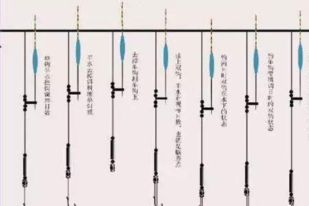 带钩调三钓四最准确的方法