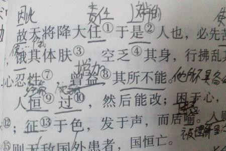 言之如斯人也的意思