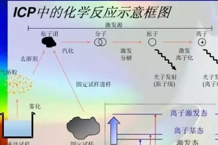 元素分析能测什么元素