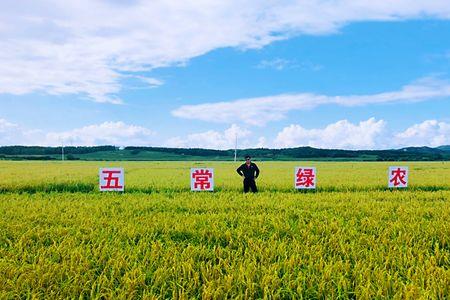 五常之歌出自哪里