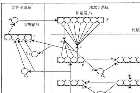 网络算法是什么意思