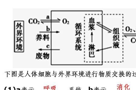 内界与外界的区别